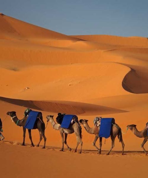 Merzouga